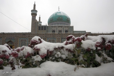 بارش برف پاییزی - حرم رضوی