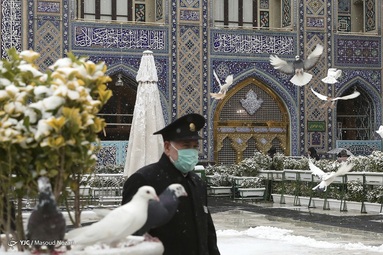 بارش برف پاییزی - حرم رضوی
