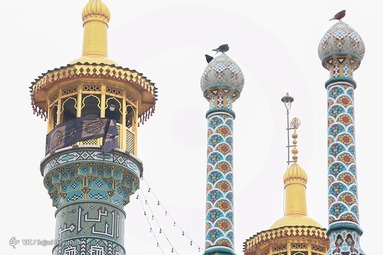 سیاهپوشان حرم حضرت معصومه (س)