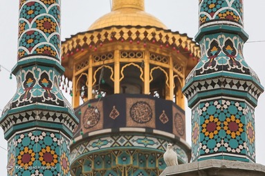 سیاهپوشان حرم حضرت معصومه (س)