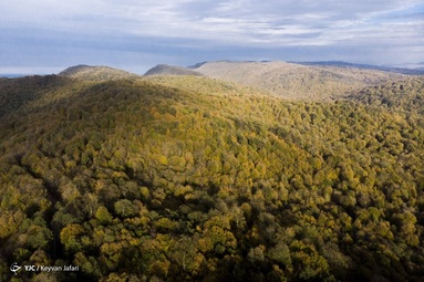 جنگل‌های هیرکانی» در زبان رایج و عامیانه‌ی مردم ایران زمین با عنوان جنگل‌های شمال نامیده می‌شود و دومین اثر بزرگ طبیعی و متراکم‌ترین ناحیه جنگلی ایران را تشکیل می‌دهند.