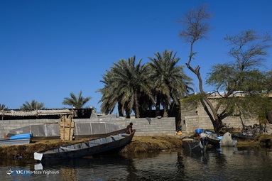 تالاب شادگان - خوزستان