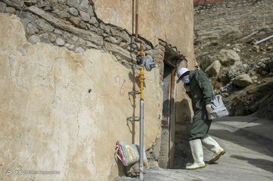 واکسیناسیون رایگان تب برفکی در روستا‌های محروم - کردستان