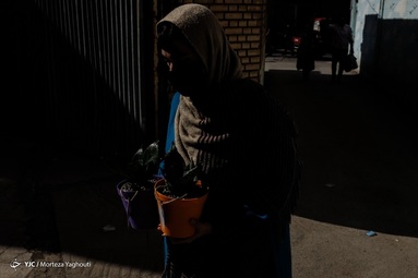 اهدای 200 عدد گلدان گل سانسوریا از طرف اتحادیه گل فروشان اهواز به کادر درمان بیمارستان رازی - اهواز