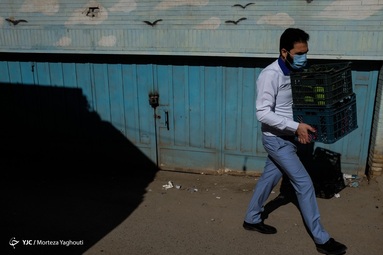 اهدای 200 عدد گلدان گل سانسوریا از طرف اتحادیه گل فروشان اهواز به کادر درمان بیمارستان رازی - اهواز