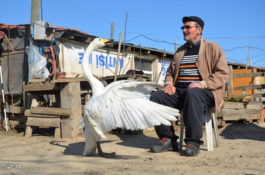 ترکیه