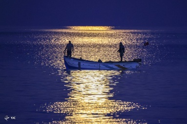 ترکیه