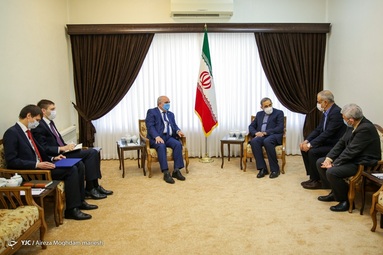 دیدار دکتر ولایتی مشاور مقام معظم رهبری با سفیر روسیه در ایران