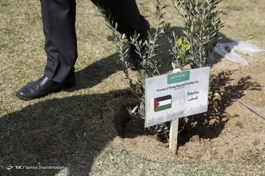 کاشت نهال توسط حناچی، شهردار تهران به مناسبت هفته درختکاری
