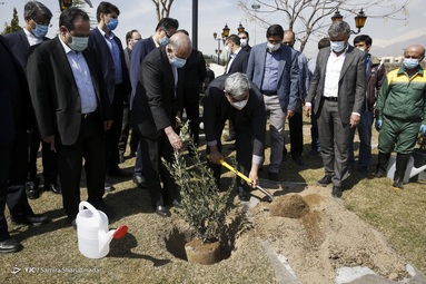 کاشت نهال توسط حناچی، شهردار تهران به مناسبت هفته درختکاری