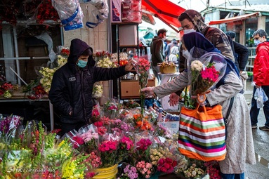 گرمی بازار گل و گیاه تهران در آستانه سال نو