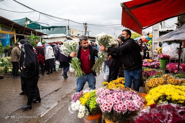 گرمی بازار گل و گیاه تهران در آستانه سال نو