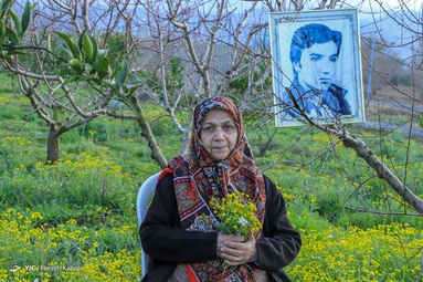 زینب تیرگر، مادر شهیدبزرگوار مسعود یونسی، شهادت در سال ۱۳۶۵ - روستای کفشگیری - استان گلستان 