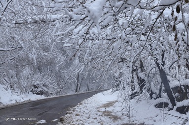 بارش برف در آخرین روزهای زمستان - گرگان