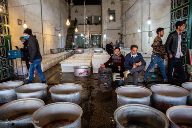 خرید سبزه و ماهی قرمز‎ عید