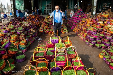 خرید سبزه و ماهی قرمز‎ عید