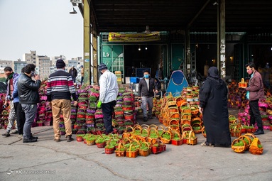 خرید سبزه و ماهی قرمز‎ عید