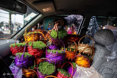 خرید سبزه و ماهی قرمز‎ عید