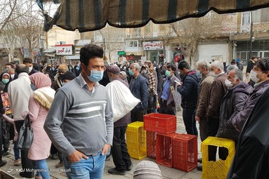 صف خرید مرغ - همدان