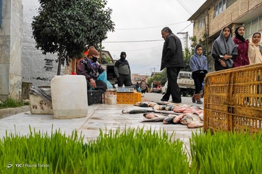 مردم روستای گفشگیری در حال خرید از بازار هفتگی هستند -  گلستان