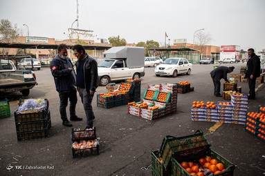 میدان میوه و تربار مرکزی تهران