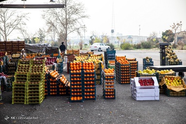 میدان میوه و تربار مرکزی تهران