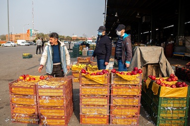 میدان میوه و تربار مرکزی تهران