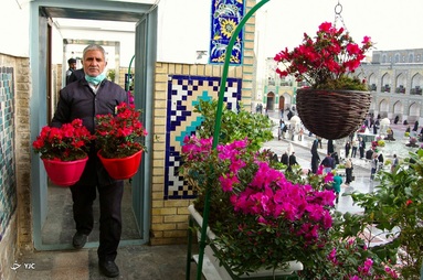 گل آرایی و چراغانی حرم مطهر رضوی