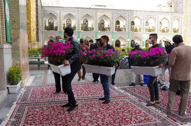 گل آرایی و چراغانی حرم مطهر رضوی