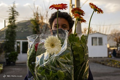 نفس‌های سال ۹۹ به شماره افتاده است و ایران زمین خود را برای میزبانی بهار آماده می‌کند - کرمان