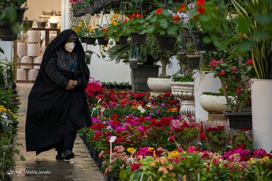 نفس‌های سال ۹۹ به شماره افتاده است و ایران زمین خود را برای میزبانی بهار آماده می‌کند - کرمان