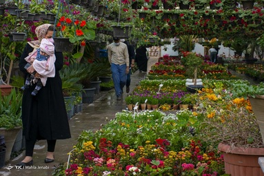نفس‌های سال ۹۹ به شماره افتاده است و ایران زمین خود را برای میزبانی بهار آماده می‌کند - کرمان