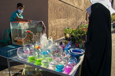 نفس‌های سال ۹۹ به شماره افتاده است و ایران زمین خود را برای میزبانی بهار آماده می‌کند - کرمان