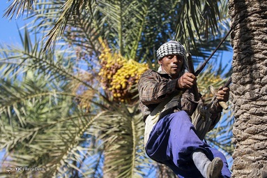 آنچه از دریچه دوربین ما دیدید.