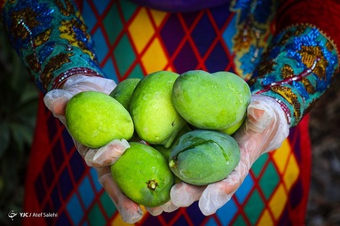 آنچه از دریچه دوربین ما دیدید.