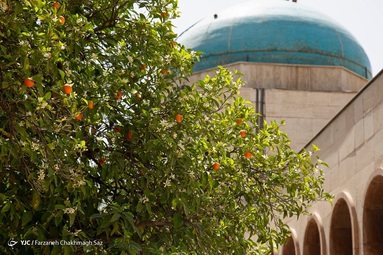 آرامگاه سعدی - شیراز