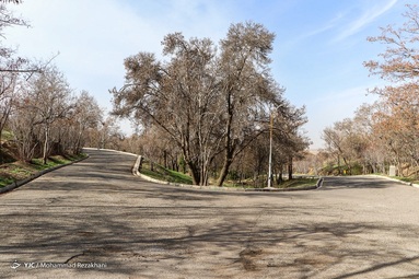 طبیعت در روز طبیعت نفس کشید - زنجان