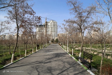 طبیعت در روز طبیعت نفس کشید - تبریز