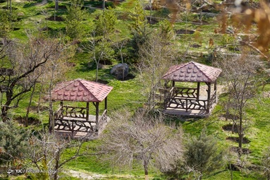 طبیعت در روز طبیعت نفس کشید - تبریز