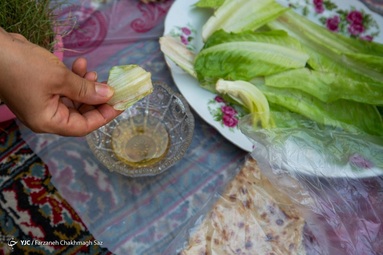 روز طبیعت دز خانه - شیراز