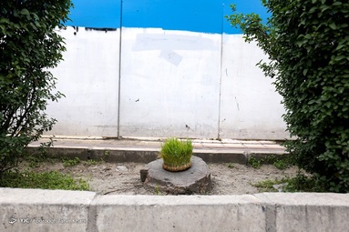 خرافه نحسی سیزده باعث جمع شدن زباله ها شده و به جای انداختن سبزه در سطل زباله آنها را در جوی های اب و یا کانال های شهری رها می کنند.