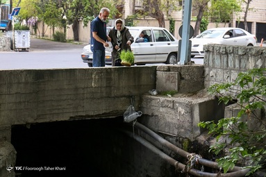 خرافه نحسی سیزده باعث جمع شدن زباله ها شده و به جای انداختن سبزه در سطل زباله آنها را در جوی های اب و یا کانال های شهری رها می کنند.