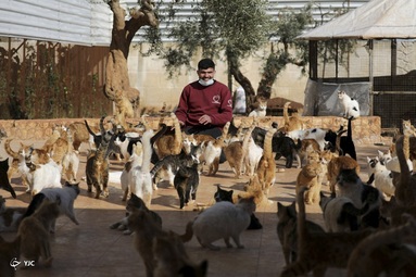 سوریه