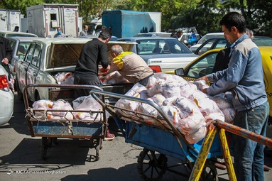 پس از افزایش قیمت مصوب مرغ زنده و مرغ گرم به وفور در بازار عرضه می‌شود