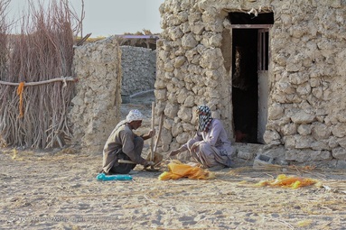 تختک نشین دریاچه هامون