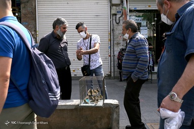 تهران در آستانه آغاز محدودیت های پیک چهارم کرونا