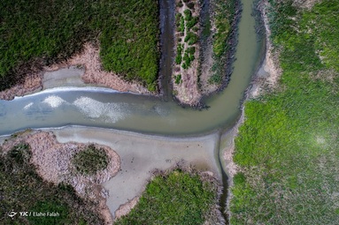 تالاب یا مرداب انزلی با مساحتی در حدود ۲۰ هزار هکتار از بزرگترین زیستگاه‌های طبیعی ایران محسوب می‌شود