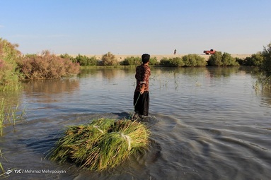 بهار و هوای بهاری در سیستان کوتاه است و به زودی جای خود را به تابستانی طولانی می دهد.