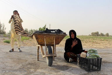 بهار و هوای بهاری در سیستان کوتاه است و به زودی جای خود را به تابستانی طولانی می دهد.