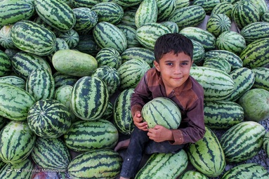 بهار و هوای بهاری در سیستان کوتاه است و به زودی جای خود را به تابستانی طولانی می دهد.